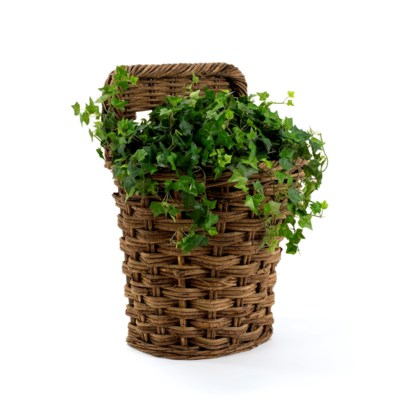 Montana Mountain Wall Basket
